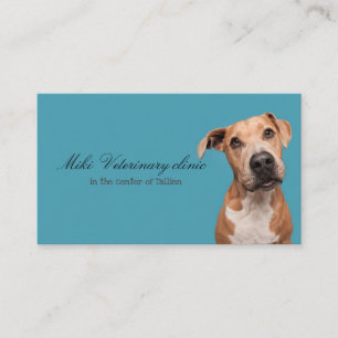 Veterinary clinic Business Card