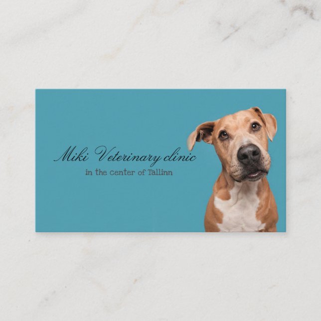 Veterinary clinic Business Card (Front)