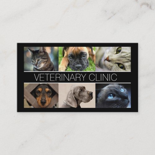 Veterinary Clinic Pet Care Business Card