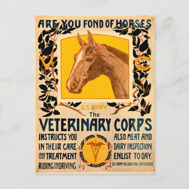 Veterinary Corps Postcard (Front)