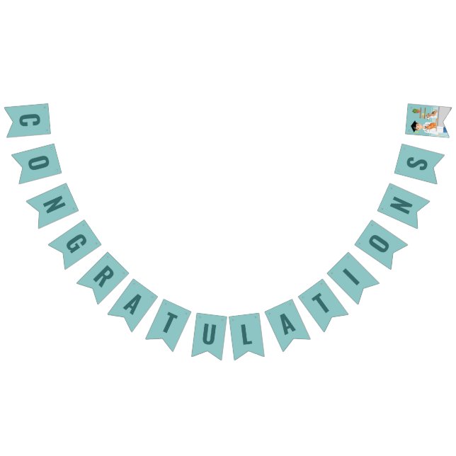 Veterinary Doctor Graduate Vet DVM Congratulations Bunting Flags (All)