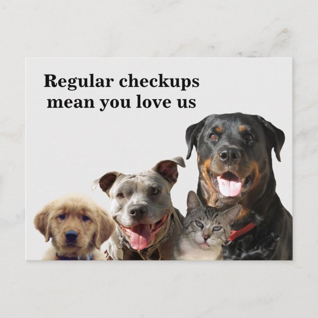 Veterinary Love Your Pets Checkup Postcard (Front)