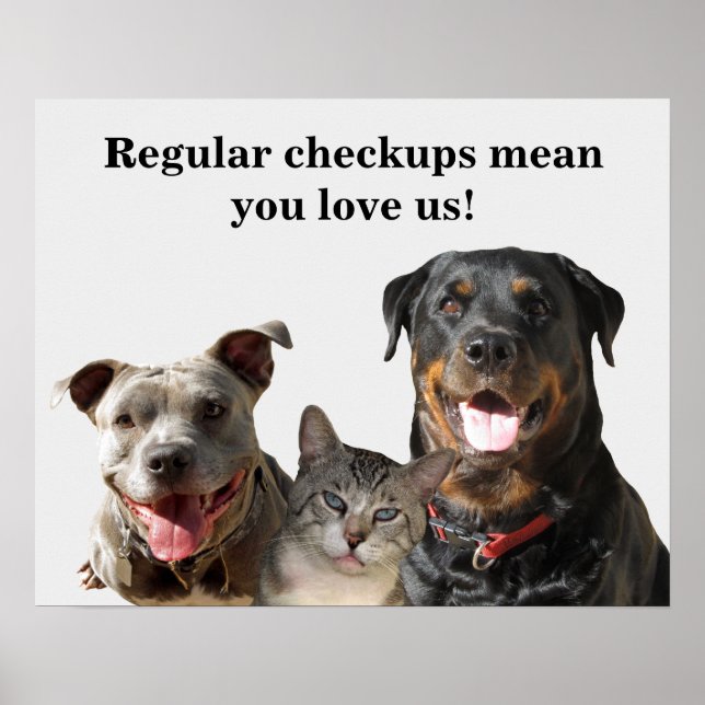 Veterinary Love Your Pets Checkup Poster (Front)