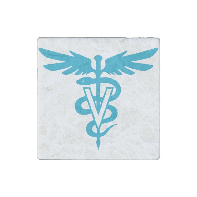 Veterinary Medicine Stone Magnet (Front)