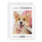 Veterinary Personalized Pet Dog Photo Veterinarian