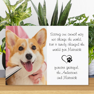 Veterinary Poem Personalized Vet Dog Pet Photo Tha Thank You Card