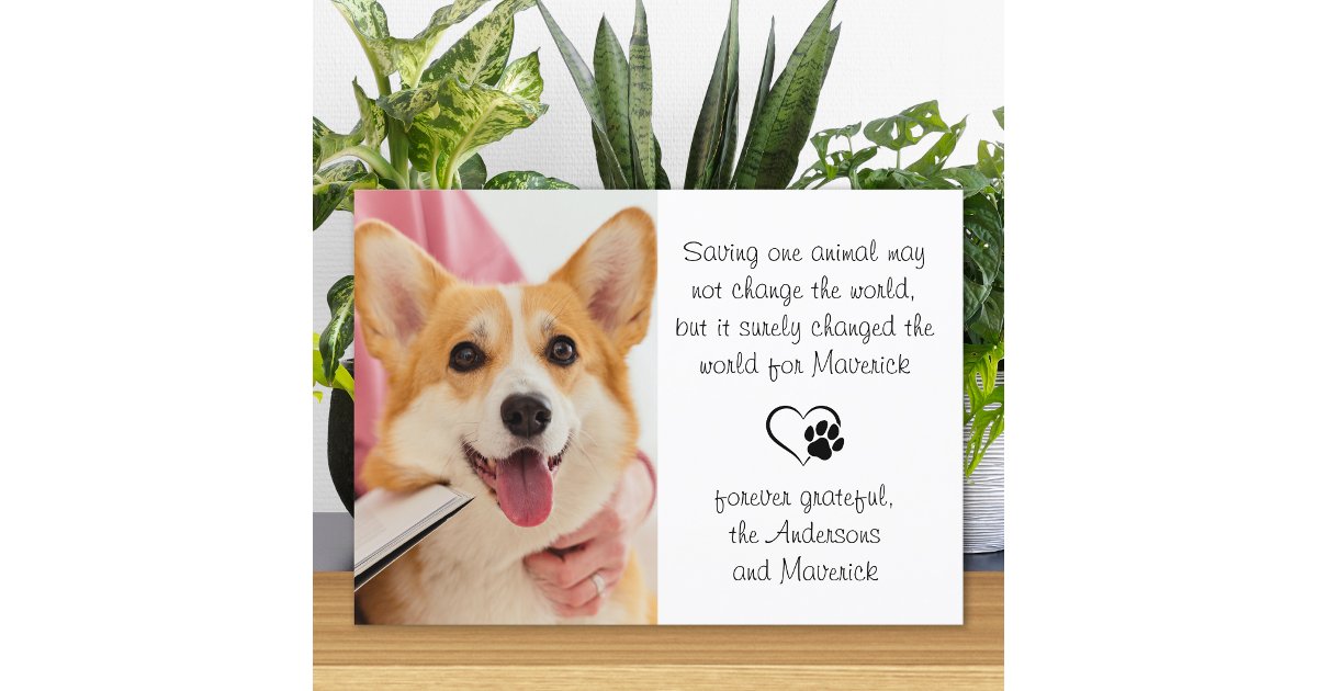 Veterinary Poem Personalized Vet Dog Pet Photo Tha Thank You Card | Zazzle