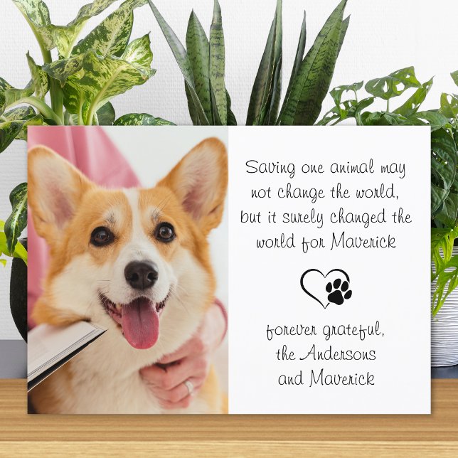 Veterinary Poem Personalized Vet Dog Pet Photo Tha Thank You Card (Creator Uploaded)