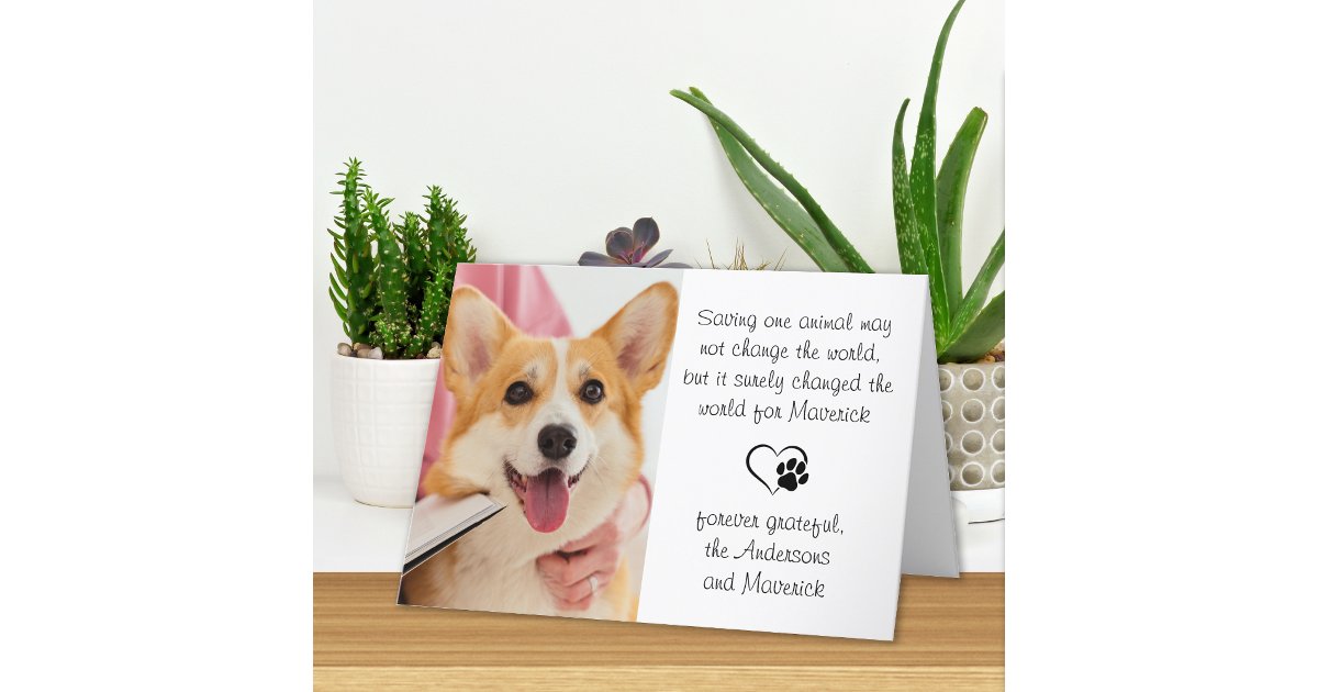 Veterinary Poem Personalized Vet Dog Pet Photo Thank You Card | Zazzle
