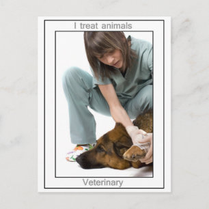 Veterinary Postcard