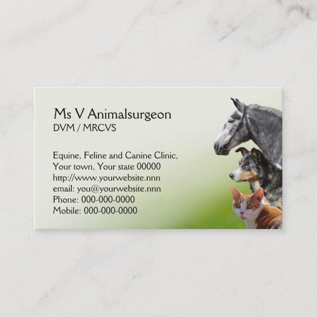 Veterinary practice appointment and business card (Front)