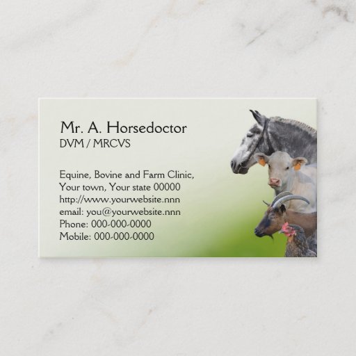 Customizable Veterinary practice appointment and business card