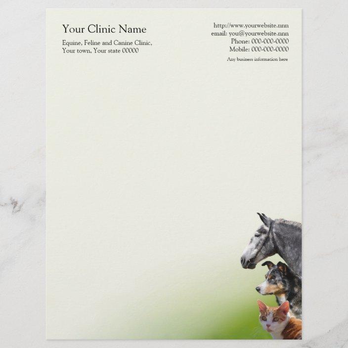 Veterinary surgeon business letterhead