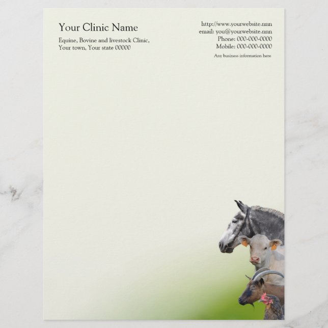 Veterinary surgeon business letterhead (Front)