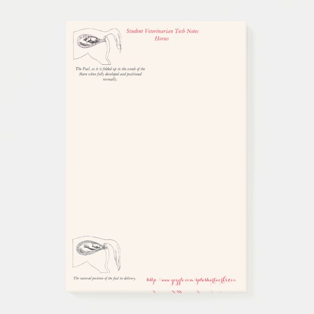 " Veterinary Tech Notes" Post-it Notes (Front)