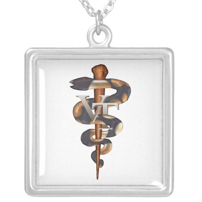 Veterinary Tech Silver Plated Necklace (Front)