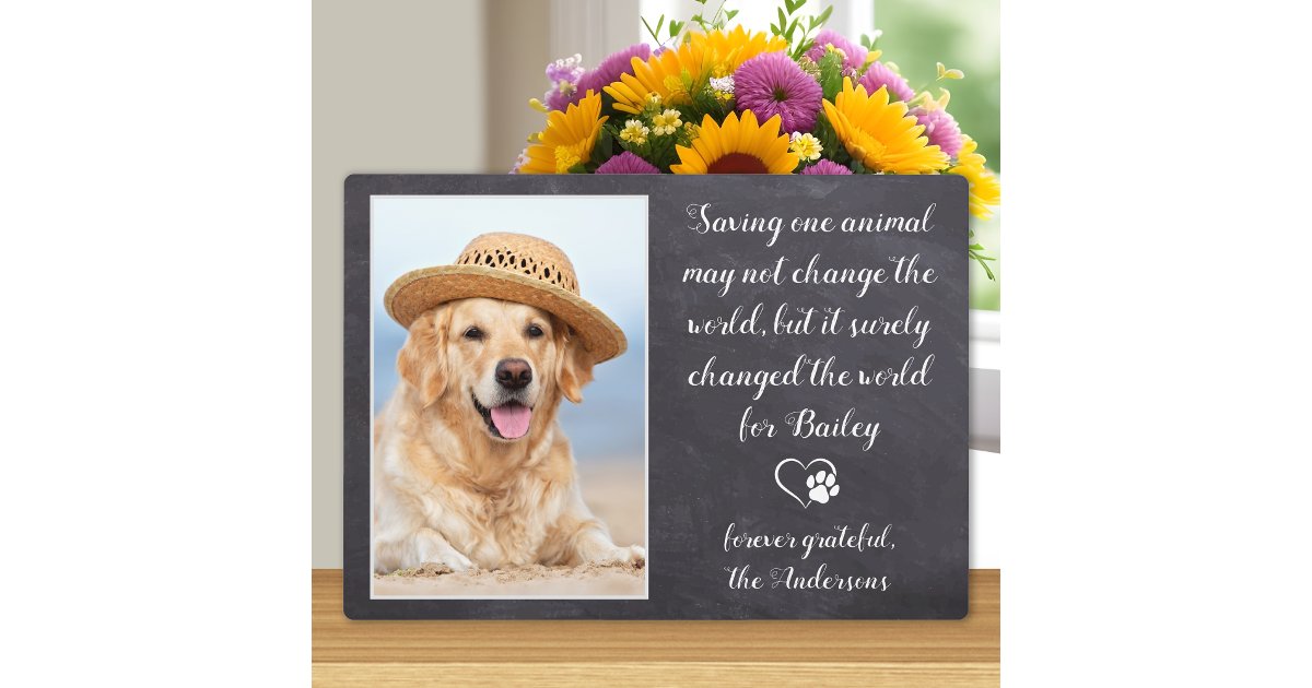 Veterinary Thank You Dog Pet Photo Veterinarian Plaque | Zazzle