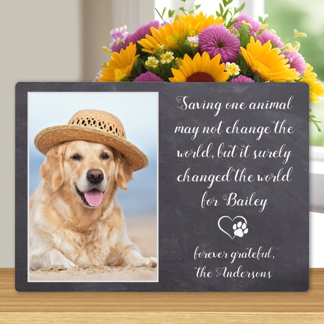 Veterinary Thank You Dog Pet Photo Veterinarian Plaque (Creator Uploaded)