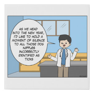 Veterinary Tick Joke Canvas
