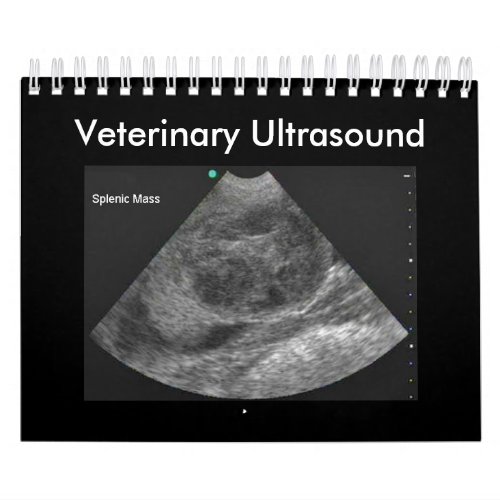 Veterinary Ultrasound Calendar 2024