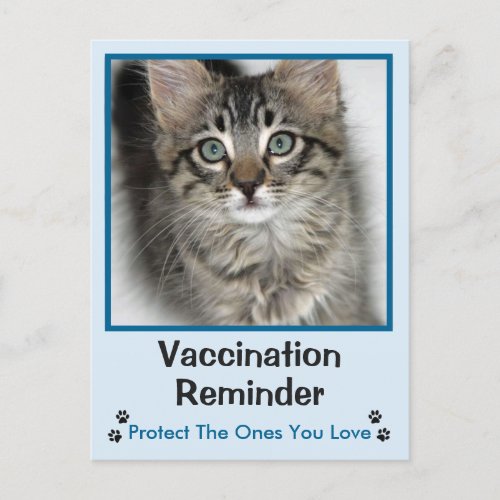 Veterinary Vaccination Blue_Eyed Kitten Postcard