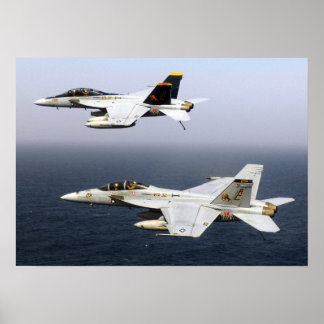 VF-32 Swordsmen F-14 Poster
