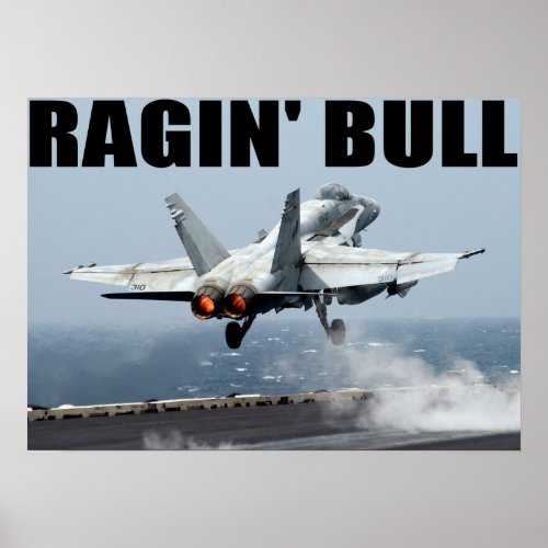 VFA_37 Ragin Bull Poster