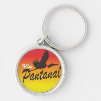 Via Pantanal key port1.2 Keychain