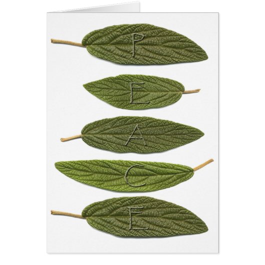 VIBIRNUM leaves PEACE (Front)