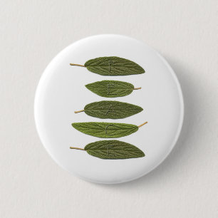 VIBIRNUM leaves PEACE Pinback Button