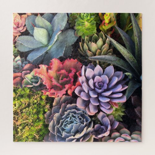 Vibrant and Colorful Succulent Garden Jigsaw Puzzle