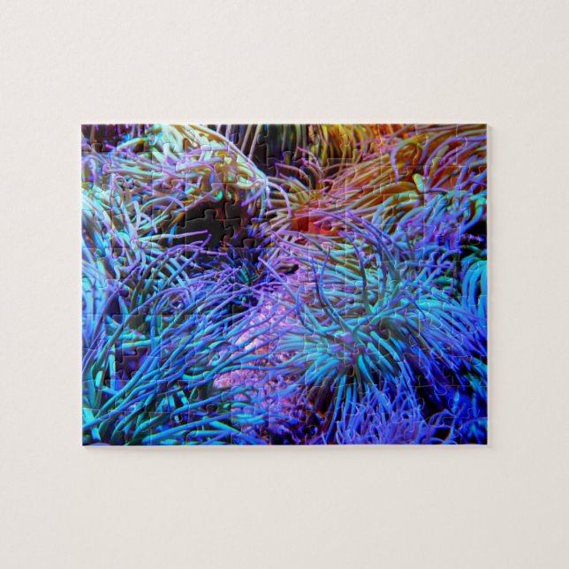 Vibrant Anemone Coral Reef Puzzle (Horizontal)