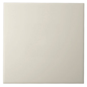 Vibrant Antique White Ceramic Tile