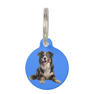 Vibrant Australian Shepherd Dog | Pet ID Tag