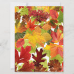 Vibrant Autumn Fall Leaves Collage
