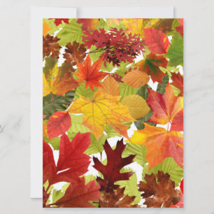 Vibrant Autumn Fall Leaves Collage