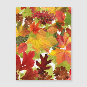 Vibrant Autumn Fall Leaves Collage
