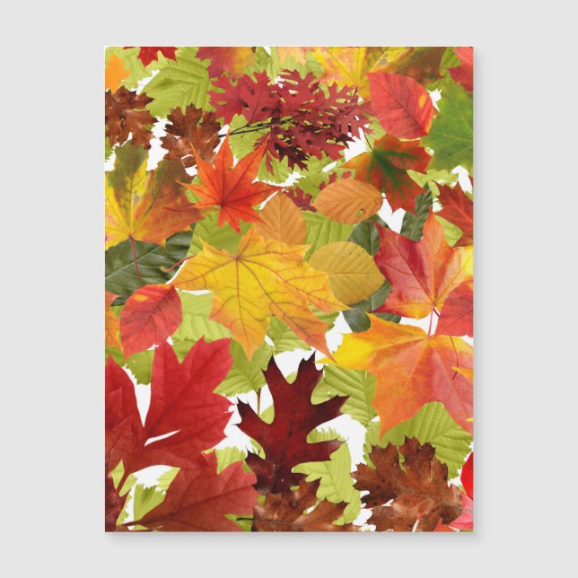 Vibrant Autumn Fall Leaves Collage (Front)