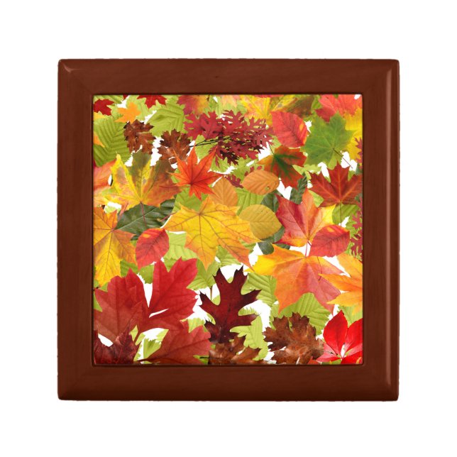 Vibrant Autumn Fall Leaves Collage Gift Box (Front)