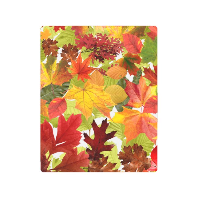 Vibrant Autumn Fall Leaves Collage Metal Print (Front)