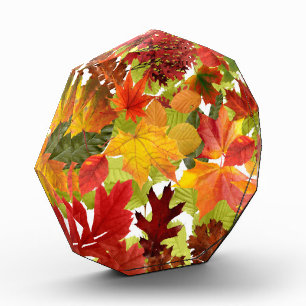 Vibrant Autumn Fall Leaves Collage Photo Block