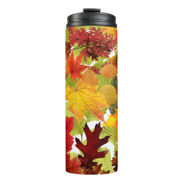 Vibrant Autumn Fall Leaves Collage Thermal Tumbler (Front)