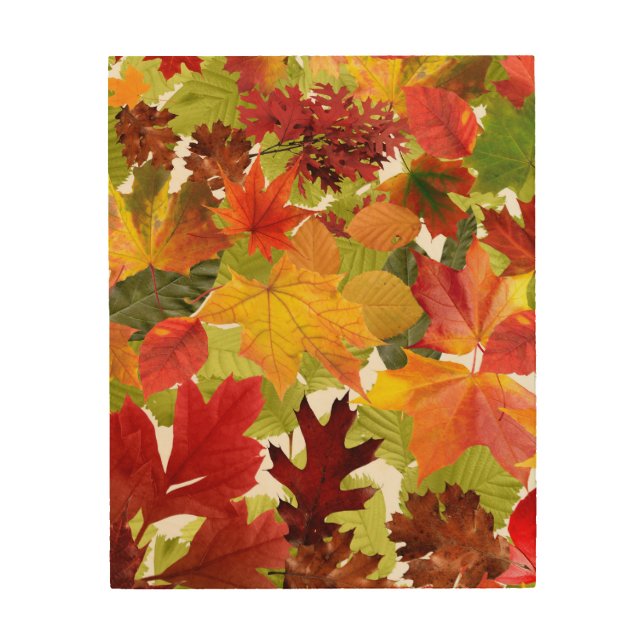 Vibrant Autumn Fall Leaves Collage Wood Wall Art (Front)