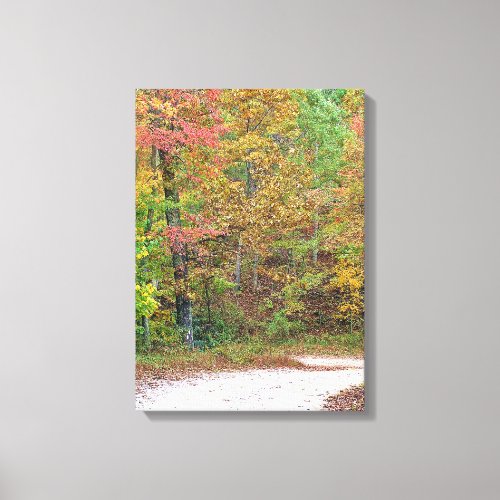 Vibrant Autumn Leaves Mountain Road Canvas Print