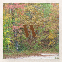 Vibrant Autumn Leaves Mountain Road