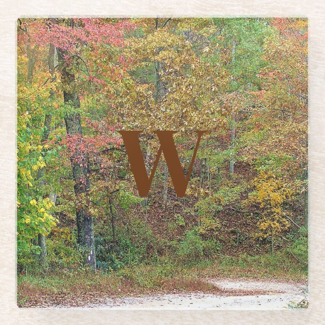 Vibrant Autumn Leaves Mountain Road  Glass Coaster (Front)