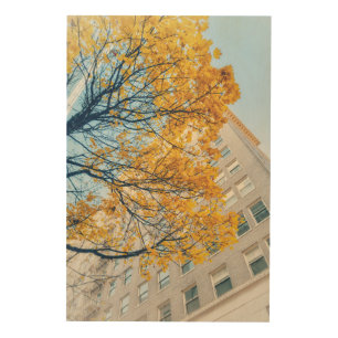 Vibrant Autumn Tree and Building Wood Wall Art
