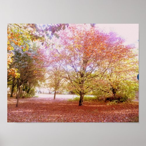Vibrant Autumn Trees Poster