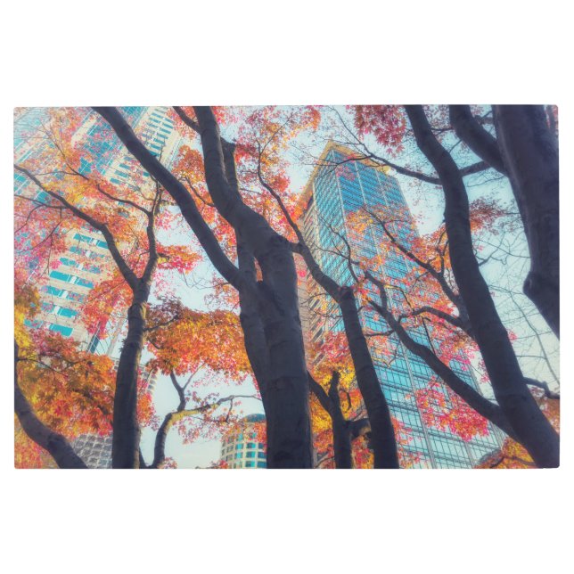 Vibrant Autumn Urban Cityscape Scene Metal Print (Front)