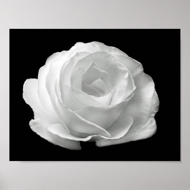 vibrant black and white floral photo poster (Front)